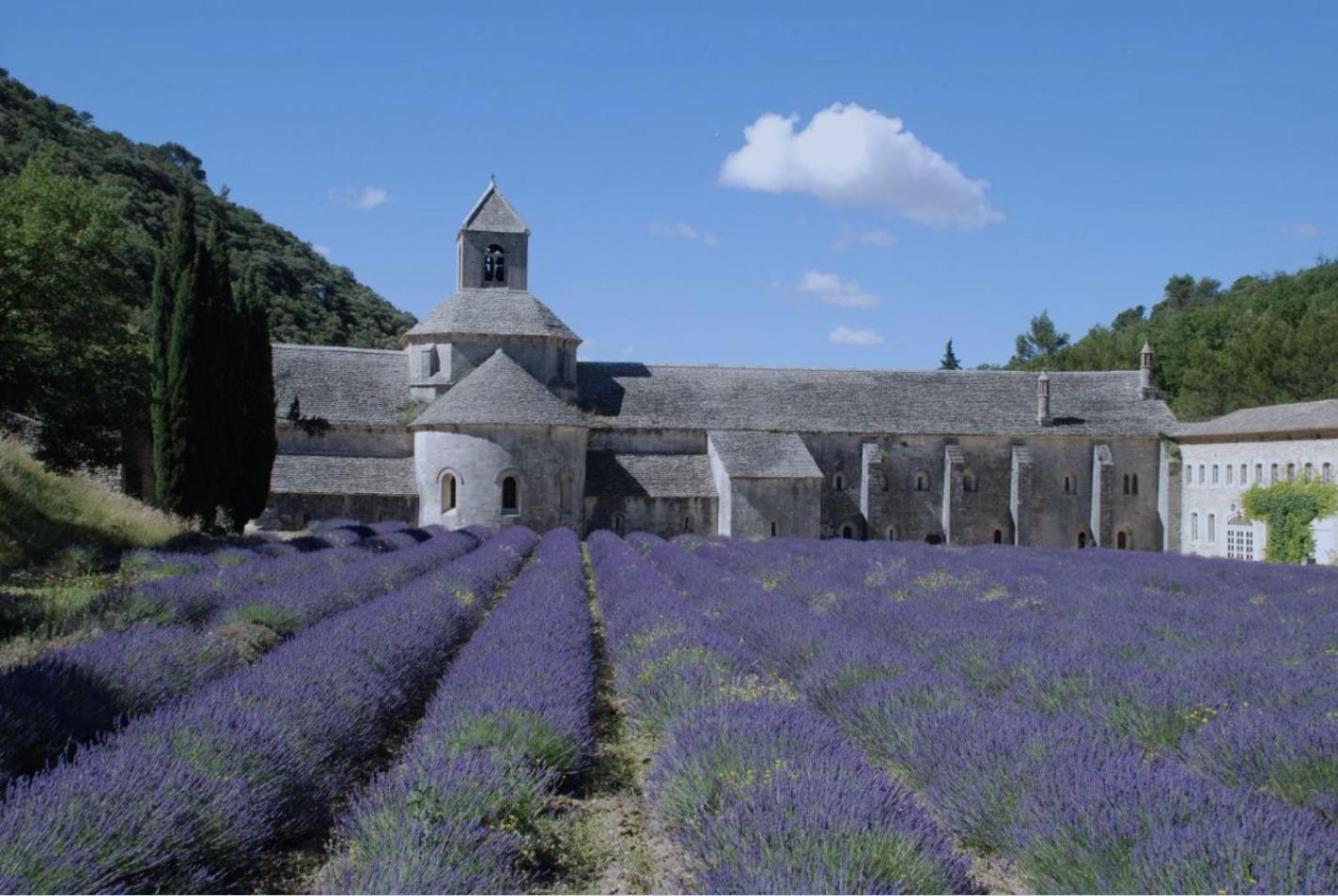 Le Clos Du Moulin 1 - Maison, Jardin, 3 Chambres (Adults Only) *